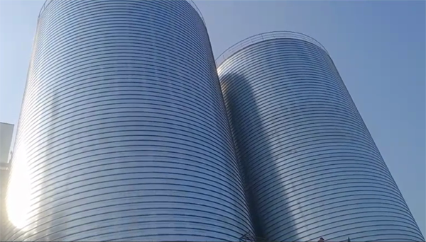 阜平2座混凝土高架卷板仓